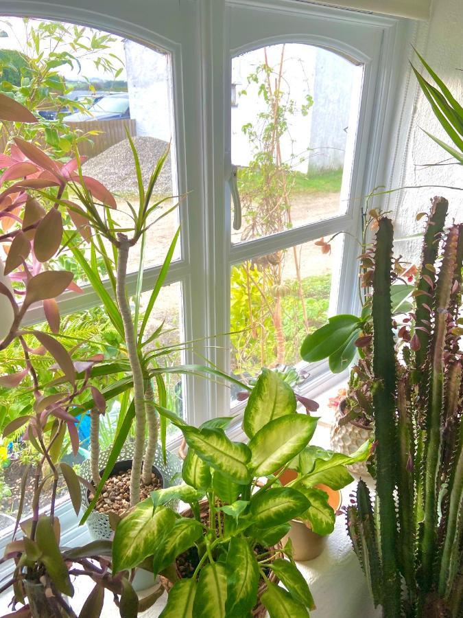 Idyllic Cornish Cottage, Superking Bed, Private Garden Dogs Welcome Truro Exterior foto